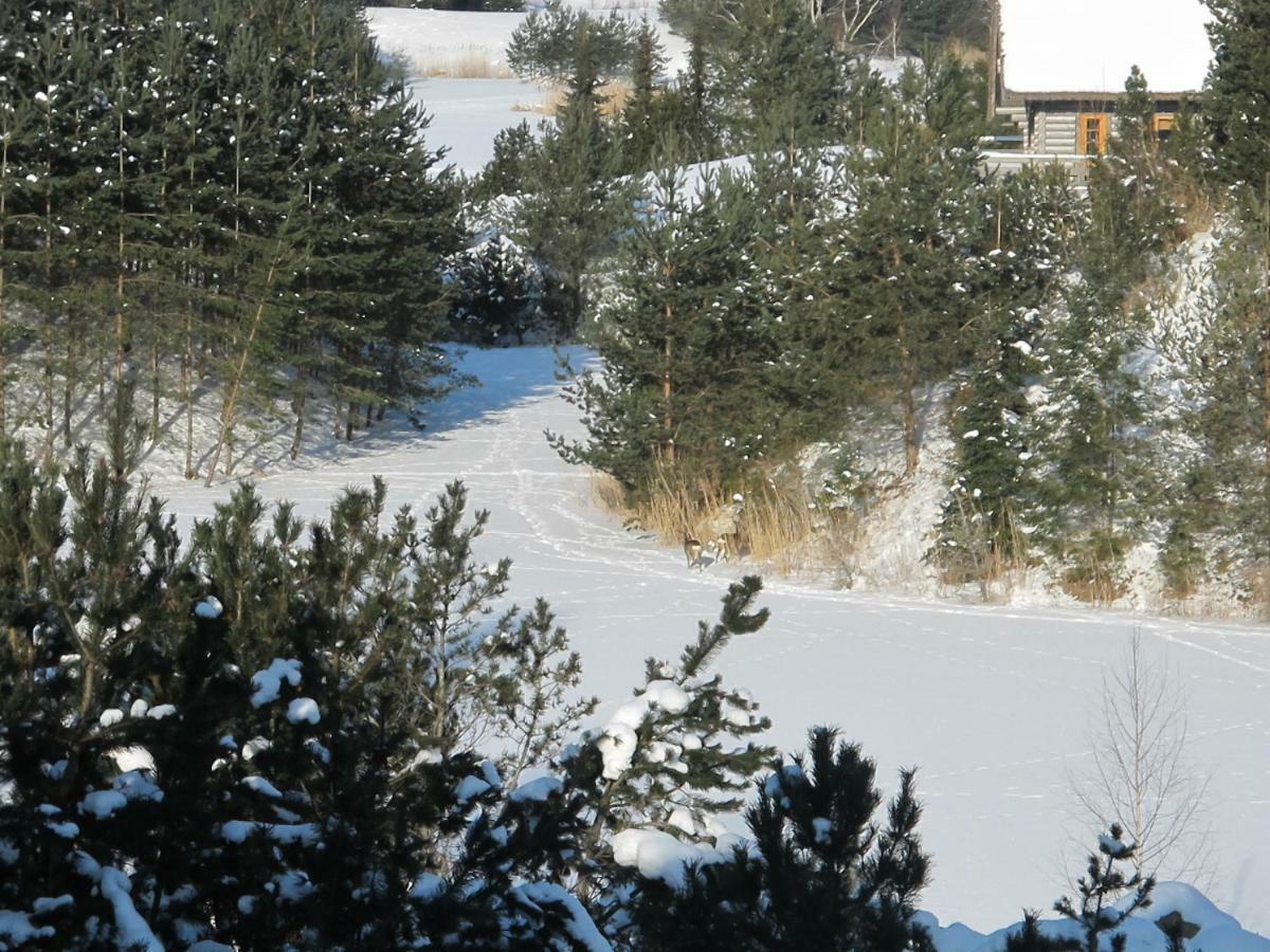 Dzeni Pension Amatciems Buitenkant foto