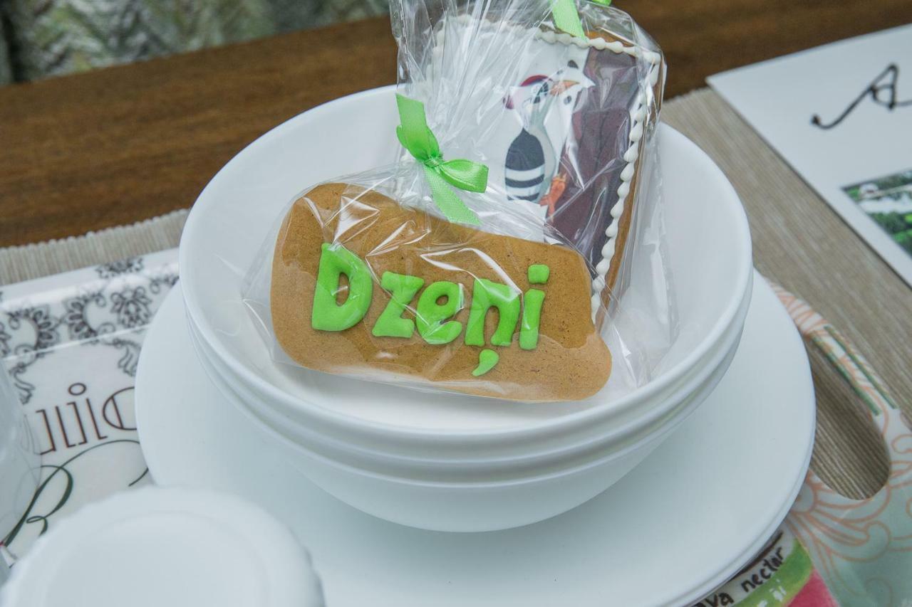Dzeni Pension Amatciems Buitenkant foto